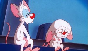 “Pinky” y “Cerebro” ya no sabrán qué hacer esta noche: muere su guionista