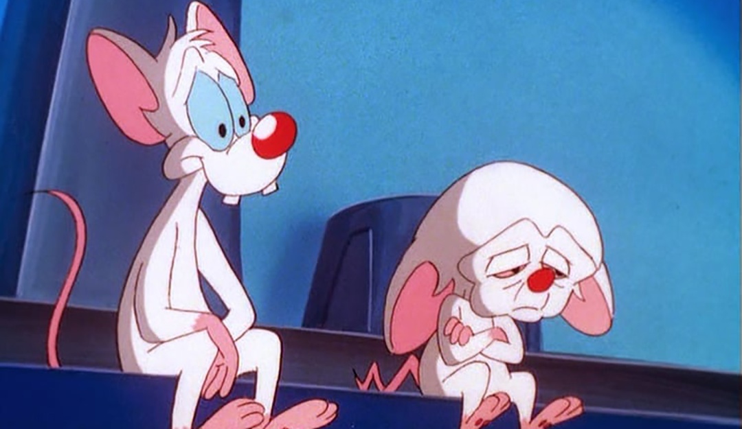 “Pinky” y “Cerebro” ya no sabrán qué hacer esta noche: muere su guionista