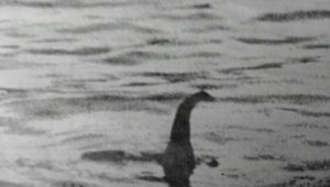 El monstruo del Lago Ness podría ser una anguila gigante