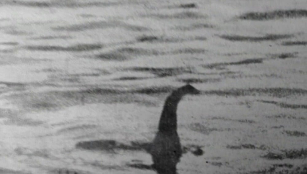El monstruo del Lago Ness podría ser una anguila gigante