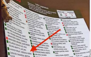 La senadora yucateca Verónica Camino vota a favor de liberar a criminales