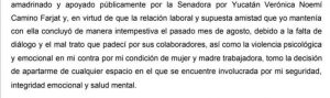 Acusan a Verónica Camino de trata de sacar raja política de las causas LGBT