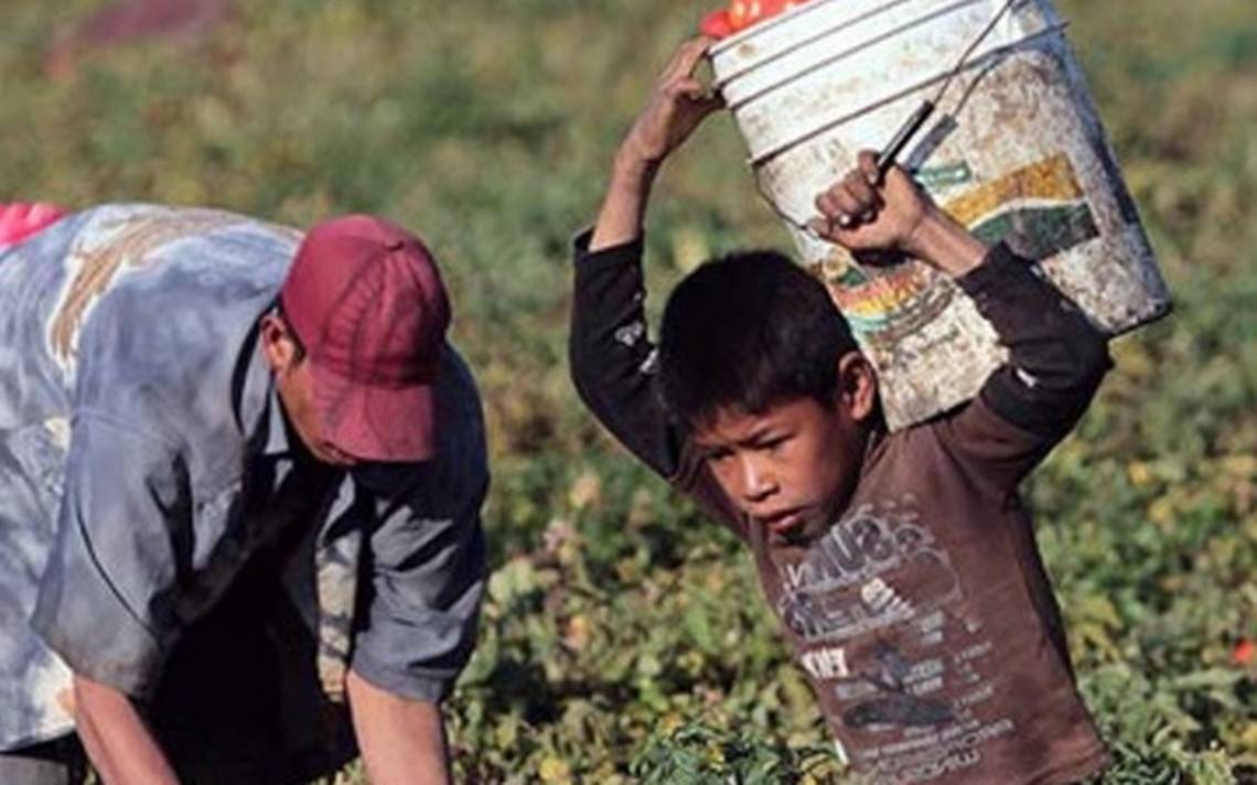 El Inegi presentó los resultados de la Encuesta Nacional del Trabajo infantil 2019
