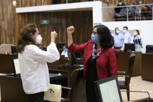 Diputadas independientes hace balance del año en el Congreso: hay pendientes