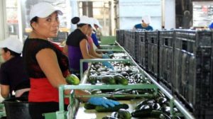Yucatán, primer lugar nacional en condiciones y trámites para hacer negocios