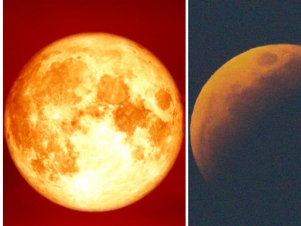 El increíble eclipse de la Luna de Sangre y la Superluna de flores en México y el mundo
