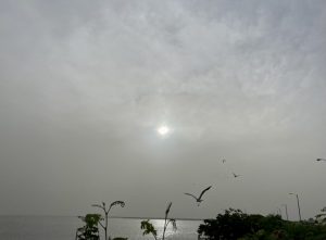 Nube de polvo del Sahara pasará sobre la Península de Yucatán
