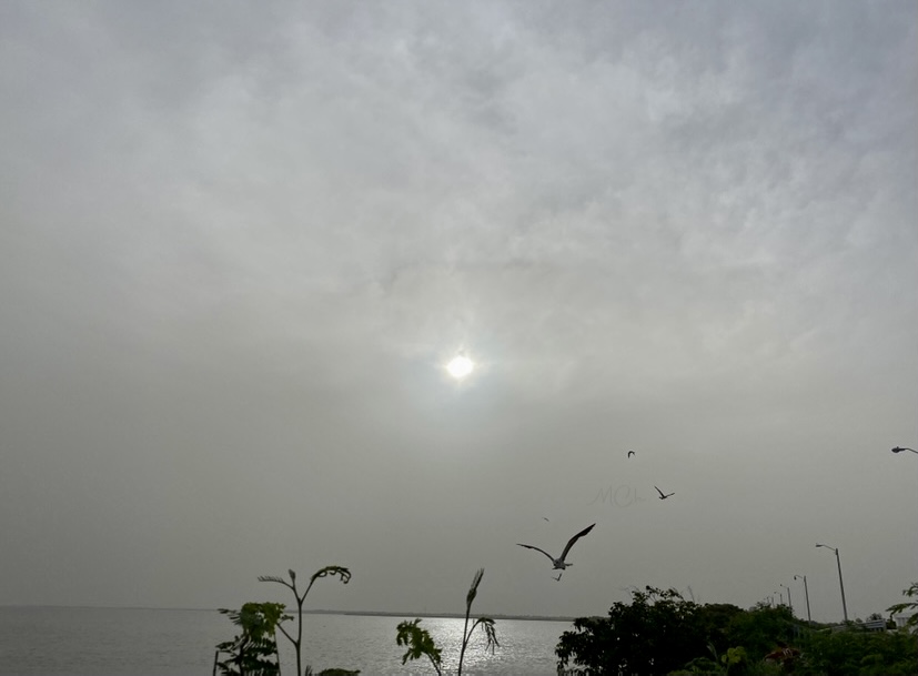 Nube de polvo del Sahara pasará sobre la Península de Yucatán