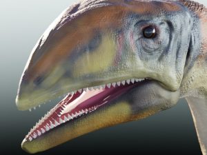 Descubren una nueva especie de dinosaurio en Groenlandia