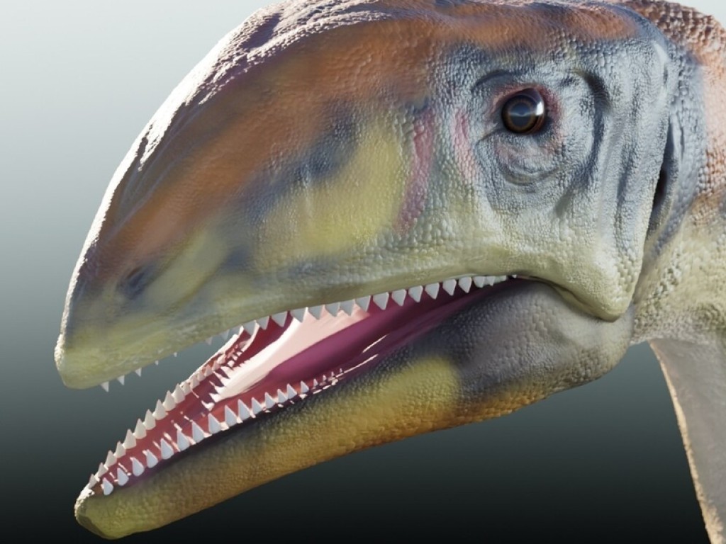 Descubren una nueva especie de dinosaurio en Groenlandia