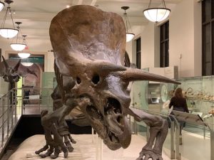 Un asteroide de primavera fue el que mató a los dinosaurios