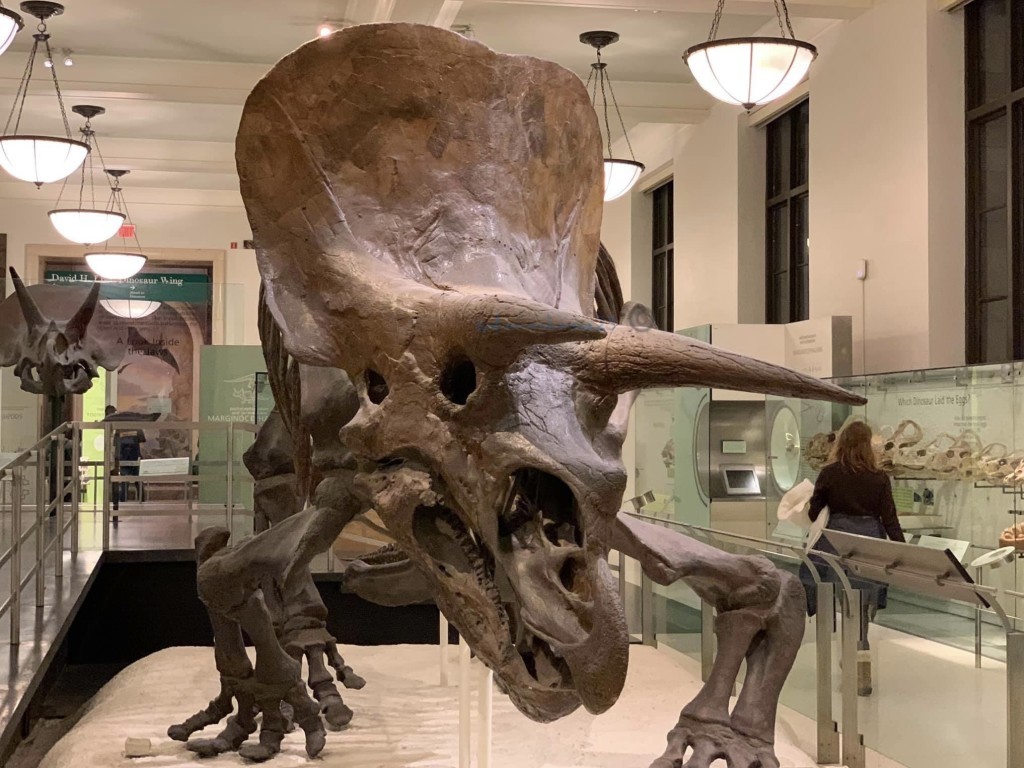 Un asteroide de primavera fue el que mató a los dinosaurios