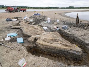 Descubren el fósil de un dragón marino de 180 millones de años de edad