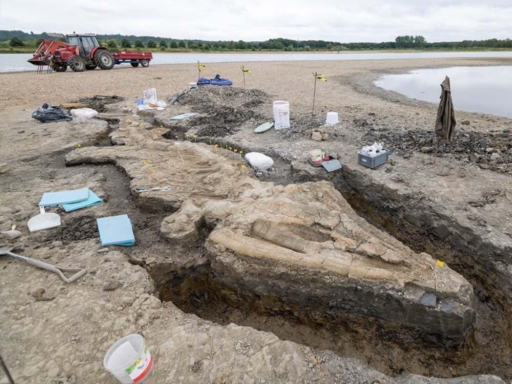 Descubren el fósil de un dragón marino de 180 millones de años de edad