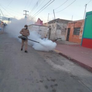 Mantiene SSY paso firme en tareas de prevención contra el dengue en Yucatán