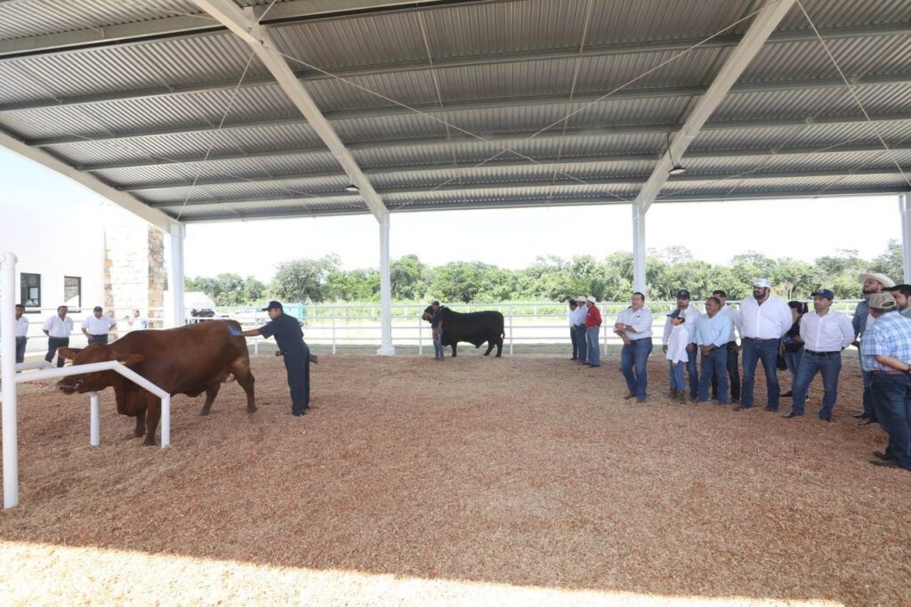 Inaugura Vila Dosal el primer Centro Integral de Mejoramiento Genético del Sureste del país altamente equipado para poder exportar productos a todo el mundo