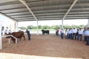 Inaugura Vila Dosal el primer Centro Integral de Mejoramiento Genético del Sureste del país altamente equipado para poder exportar productos a todo el mundo