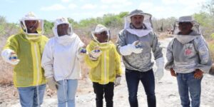 Ayuntamiento de Progreso busca impulsar nuevos apicultores y preservar los mangles del Puerto