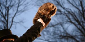 La famosa marmota Phil predice cuándo llega la primavera 2024