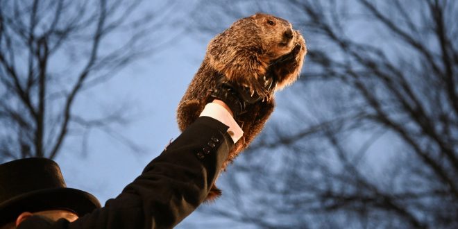 La famosa marmota Phil predice cuándo llega la primavera 2024