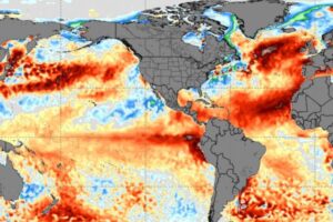 “El Niño” provocará temperaturas más altas de lo normal hasta mayo, advierte la ONU