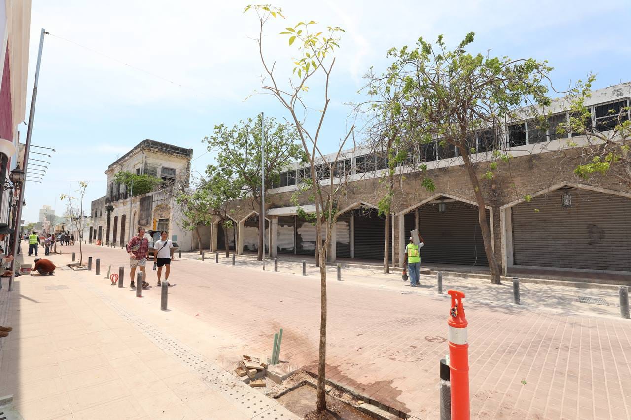 Gobierno del Estado comienza la plantación de árboles en el Corredor Turístico y Gastronómico en el Centro Histórico