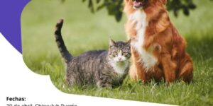 La jornada de esterilización canina y felina sin costo llegará  a Chicxulub Puerto