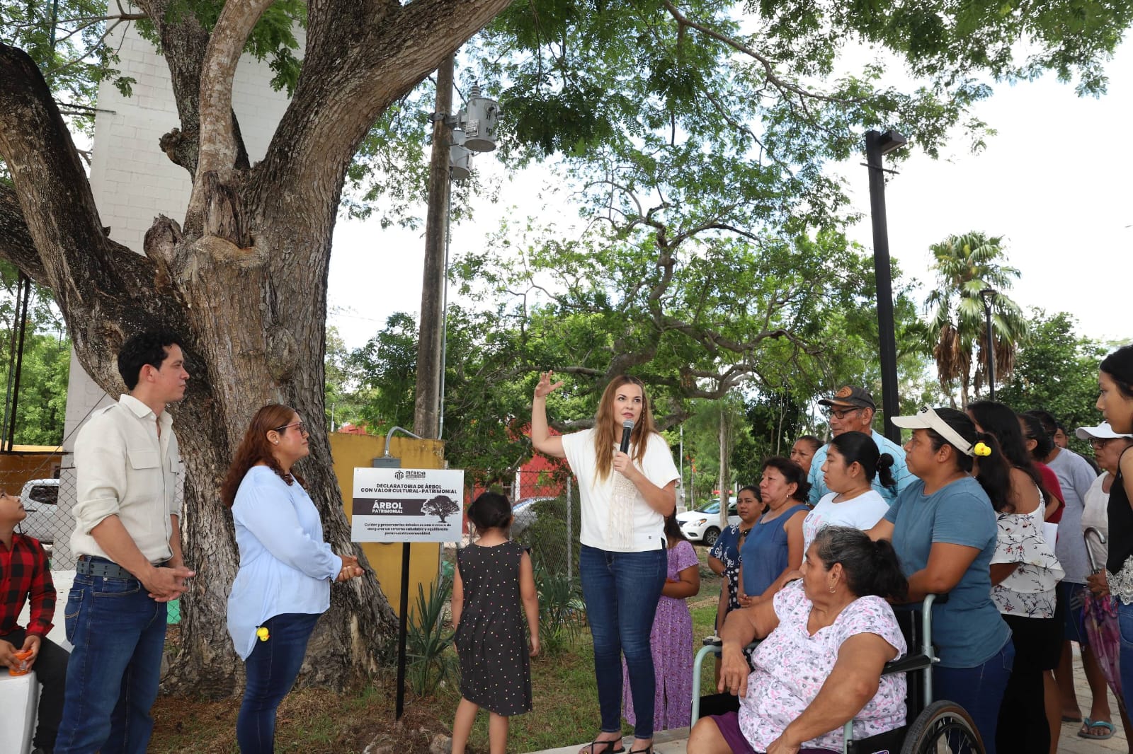 Cecilia Patrón: Avanzan los trabajos del primer Corredor Verde de Mérida con infraestructura sustentable y sostenible