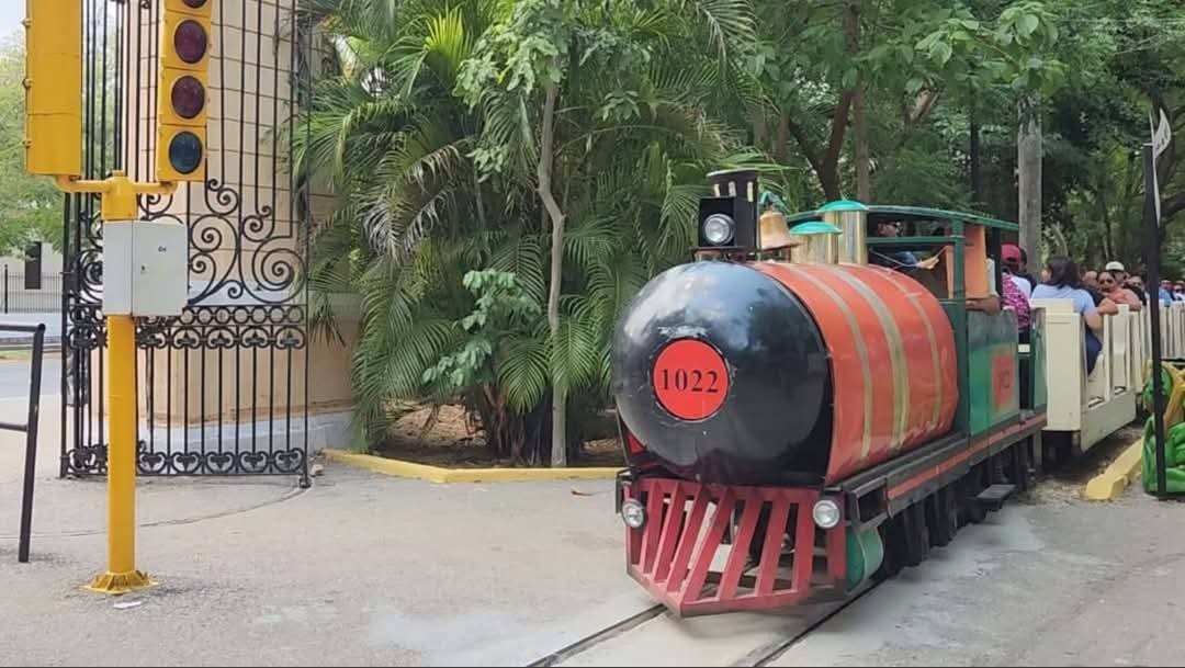 El trenecito del Centenario suspende servicio de manera indefinida y se trabaja en su renovación