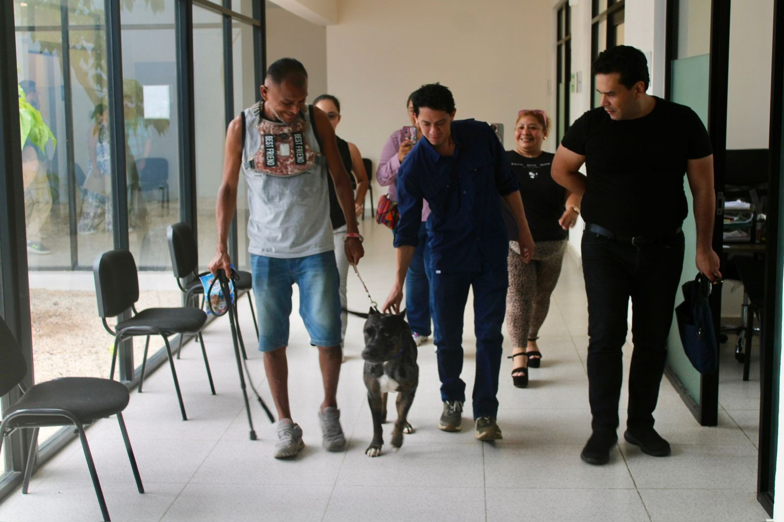 Zeus regresa a su hogar