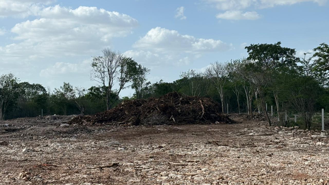 Sitio clausurado por presuntas actividades ilícitas en la Reserva Cuxtal.