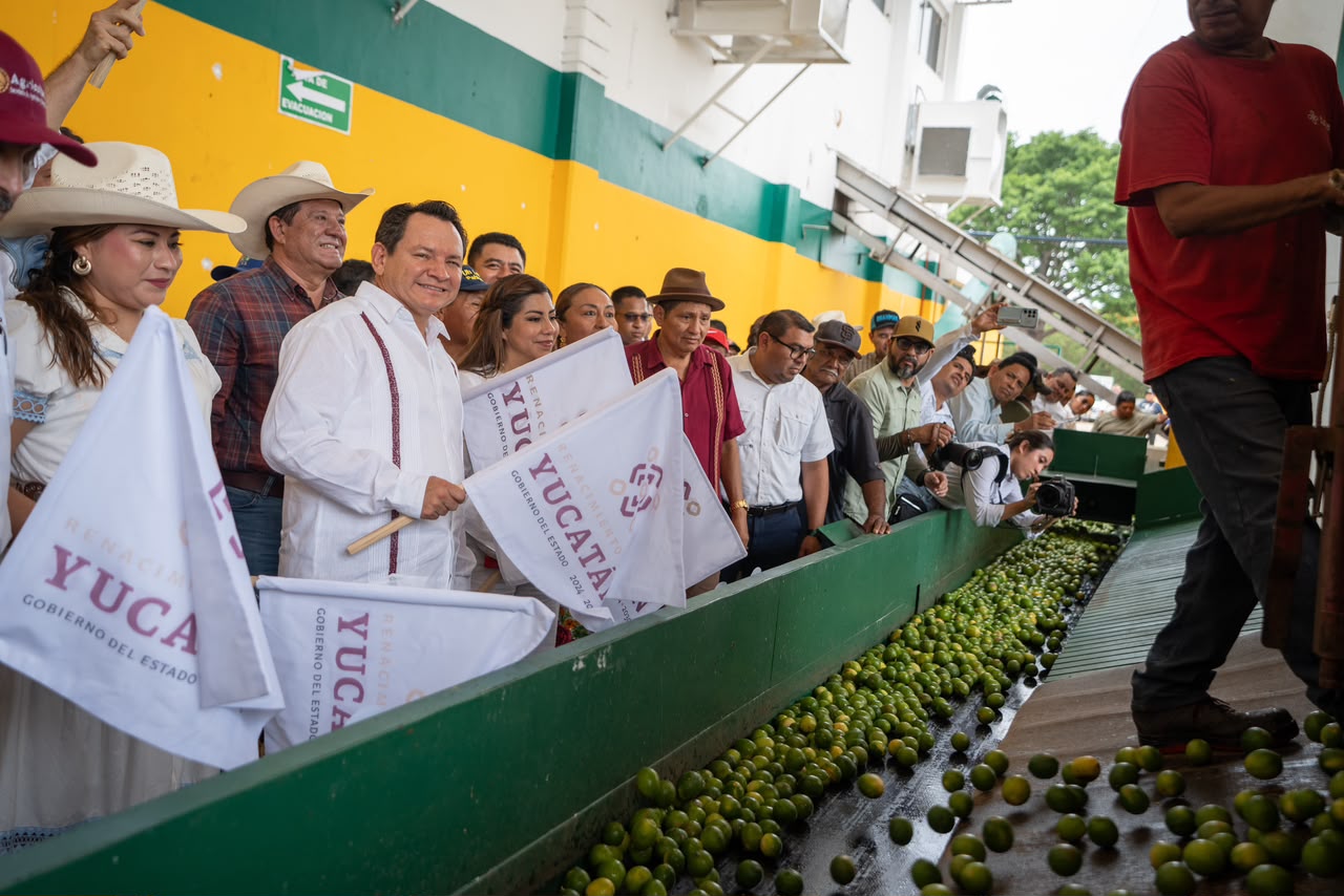 Impulsa Gobernador Joaquín Díaz Mena inversión, tecnología y apoyos para el campo yucateco